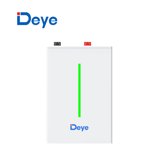 PIN LITHIUM DEYE